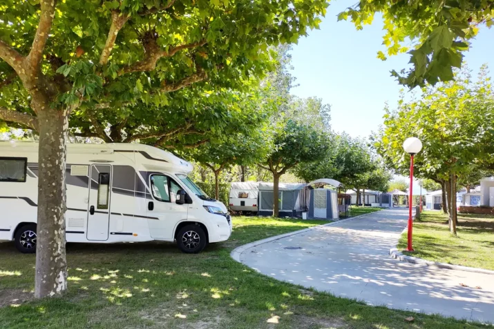 zonas bien sombreadas en camping