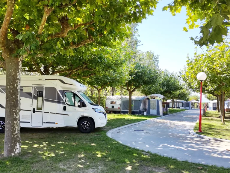 zonas bien sombreadas en camping