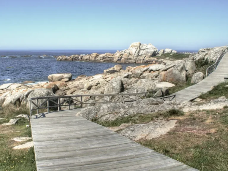 pasarela de madera al lado del mar