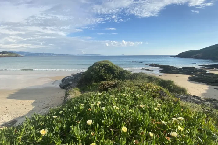 vista de islas cíes desde montalvo