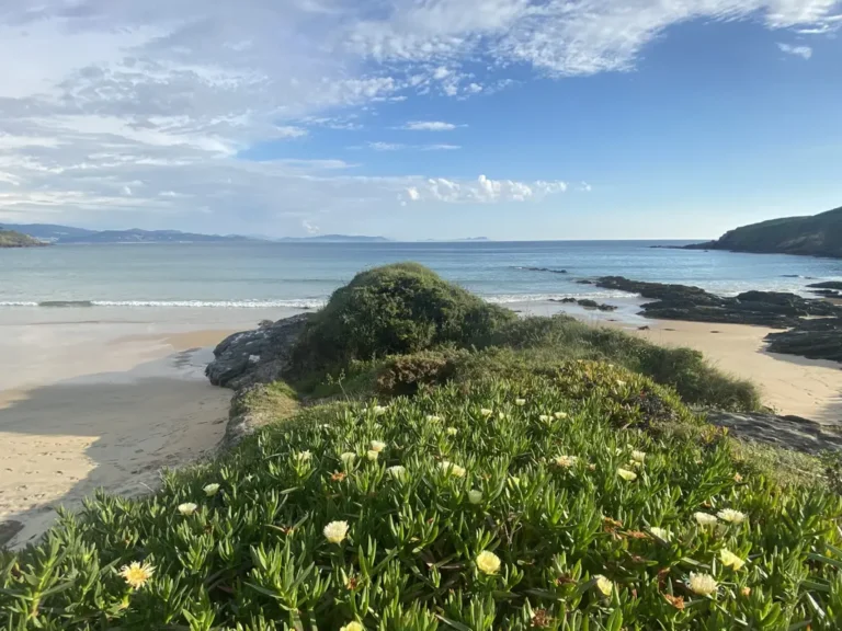 vista de islas cíes desde montalvo
